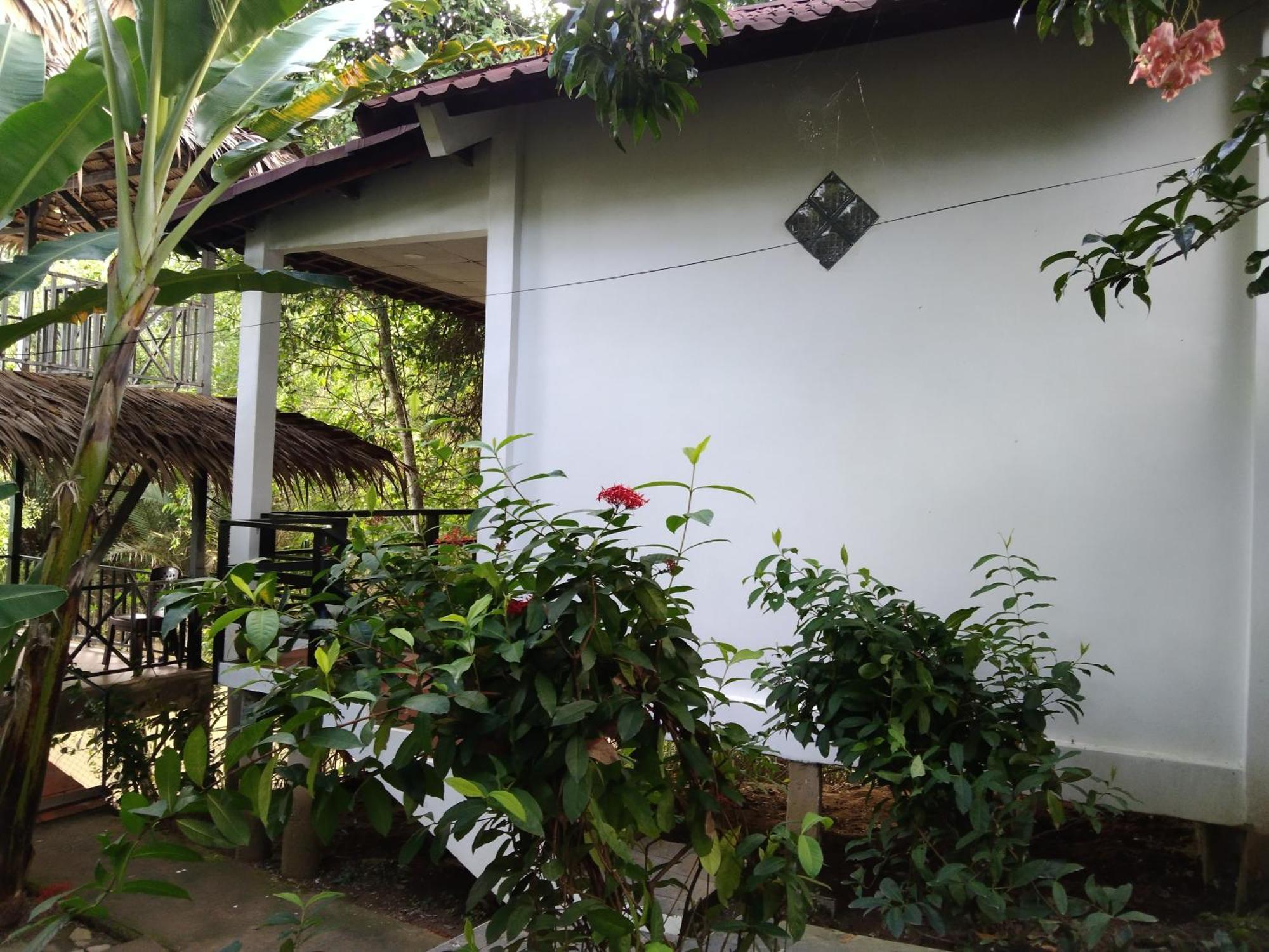 Ben Tre Quoc Phuong Riverside Homestay מראה חיצוני תמונה