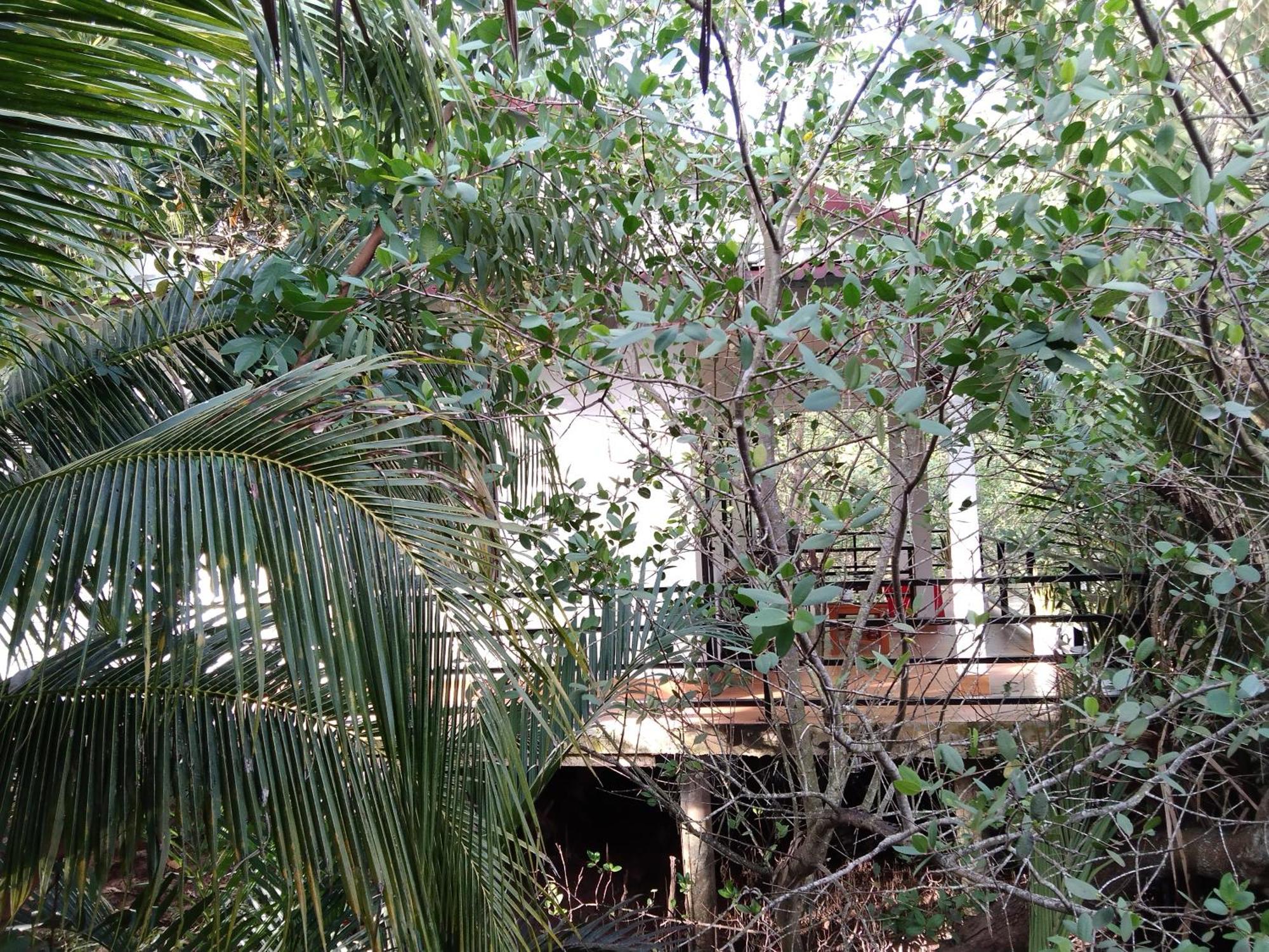 Ben Tre Quoc Phuong Riverside Homestay מראה חיצוני תמונה