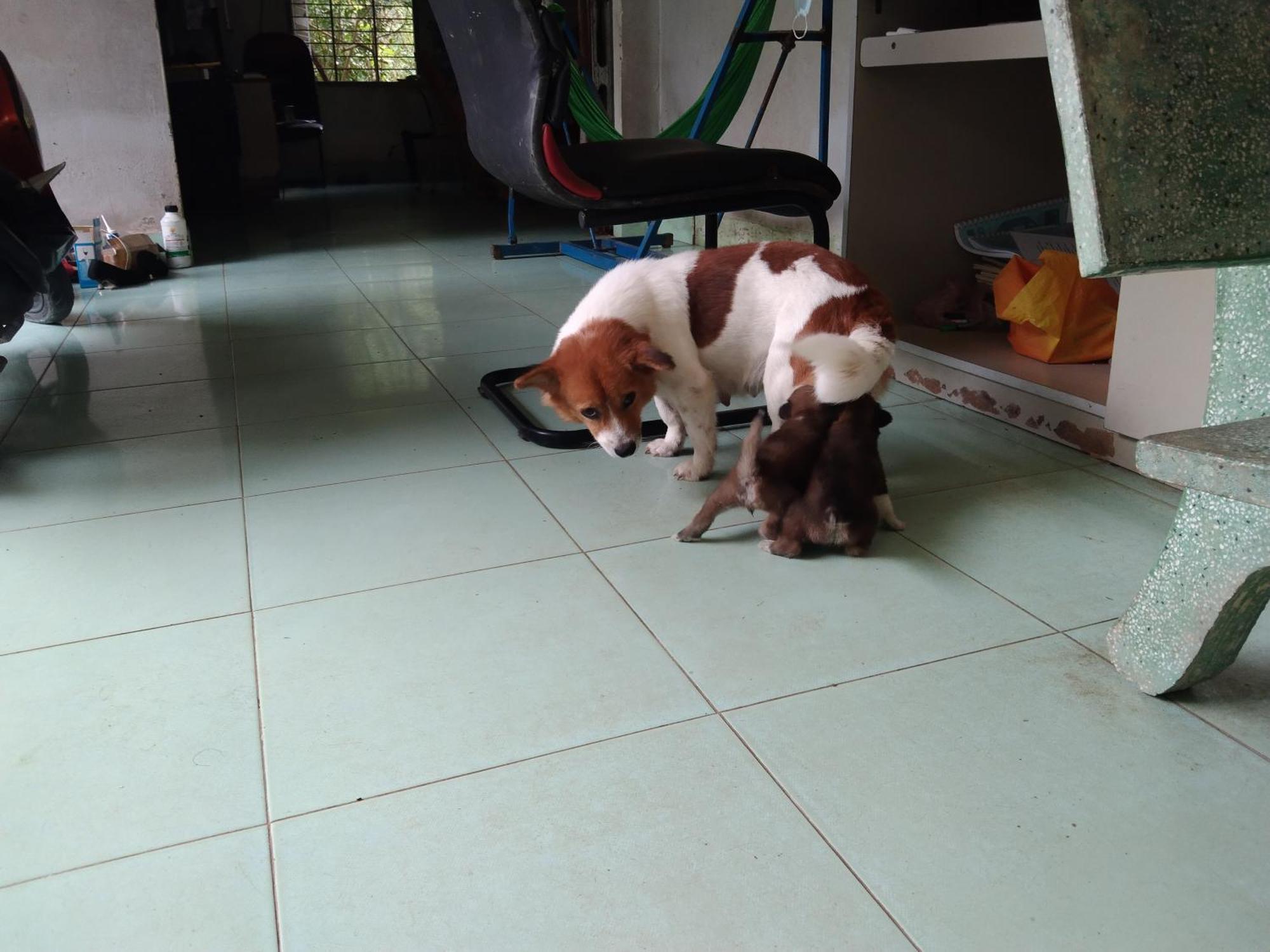 Ben Tre Quoc Phuong Riverside Homestay מראה חיצוני תמונה